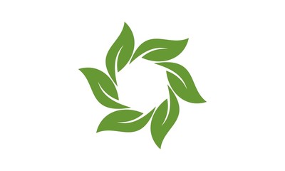 Leaf Logo 70