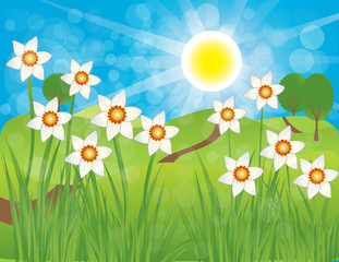 Fototapeta premium Landschaft im Frühling