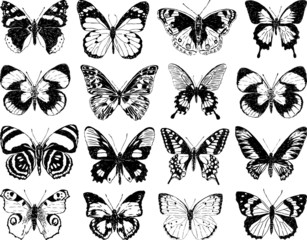 butterflies silhouettes