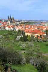 View on the spring Prague with gothic Castle, Czech Republic