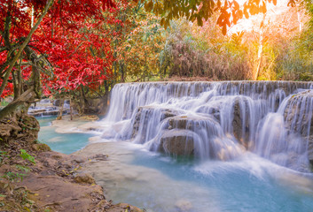 Fototapeta na wymiar Waterfall in rain forest (Tat Kuang Si Waterfalls at Luang praba