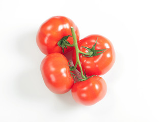 ветка томатов на белом фоне