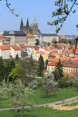 View on the spring Prague with gothic Castle, Czech Republic