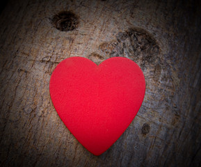 Heart of love in Valentine's day on tree