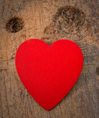 Heart of love in Valentine's day on tree