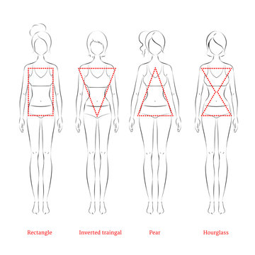 Male Body Shapes Set - Inverted Triangle, Oval, Rectangle, Rhomboid Figure  Types. Human Anatomy Body Shapes Cartoon Stock Vector - Illustration of  health, line: 195861289