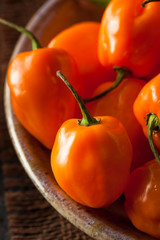 Raw Organic Orange Habanero Peppers
