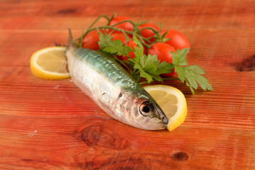 ALACCIA - SARDINELLA AURITA