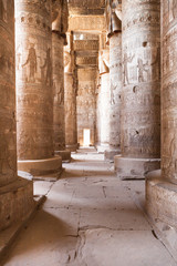 Columns In Dendera Temple © Andrey Popov