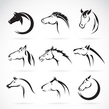 Vector group of horse head design on white background.