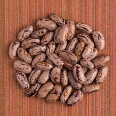 Circle of pinto beans
