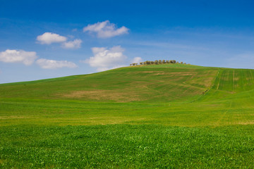 Campagna tipica della toscana