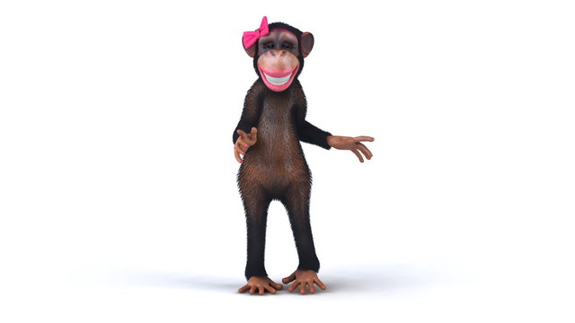 Fun monkey