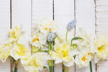 Background with fresh daffodils and muscaries