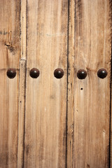 Wood door