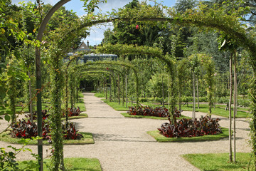 Jardin anglais Albert Kahn
