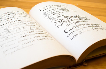 The Old Slavonic Grammar