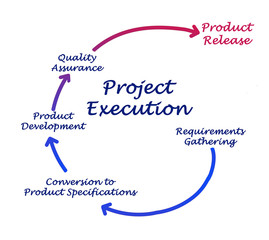 Project Execution
