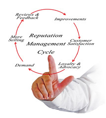 Reputation management cycle