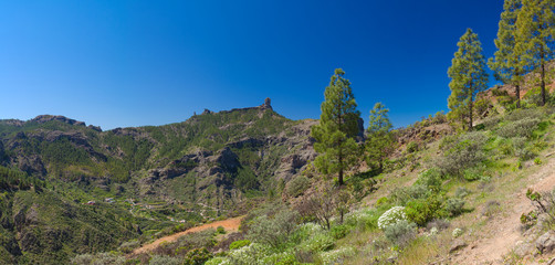 Fototapeta na wymiar Gran Canaria, view across Caldera de Tejeda