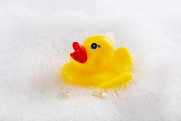 Rubber duck in foam close-up