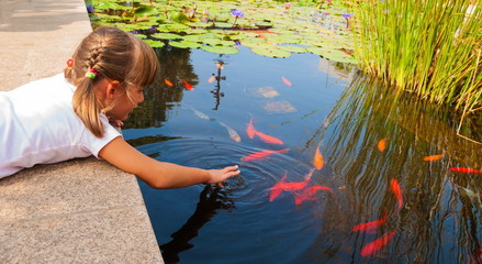 Little girl plays with ornamental fish that swim in  pond