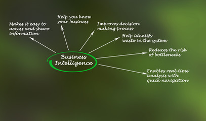 Business Intelligence