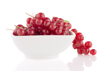 Red Currants