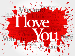 "I love you" splash in all languages of the world