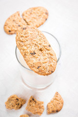 Healthy breakfast with cottage cheese, grain cookies, milk