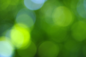 Obraz premium green bokeh