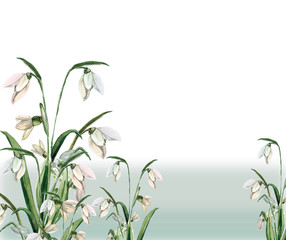 Snowdrops pattern