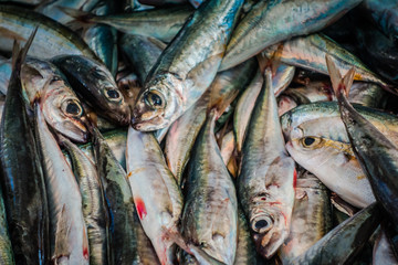 Fischmarkt Funchal Madeira