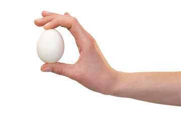 hand with chicken eggs