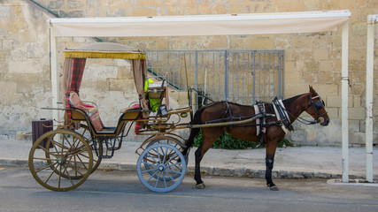 Tourist chariot in the Old City of Valletta, Malta