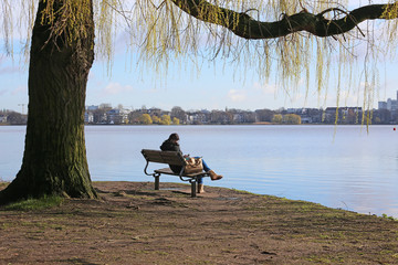 Fototapete bei efototapeten.de bestellen   