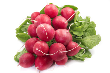 Radish