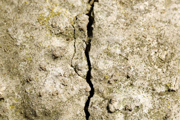 Cement textured wall background