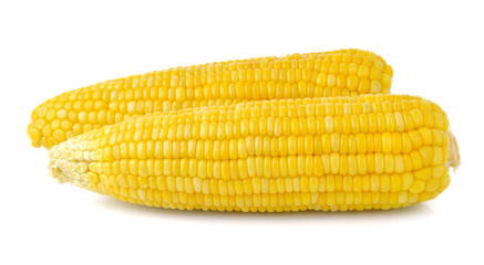 Boiled corn on white background