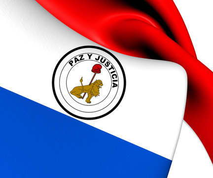 Flag of Paraguay (Reverse)