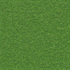 Cut grass seamless texture