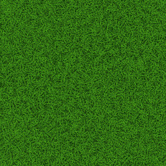 Green soccer grass field seamless background texture