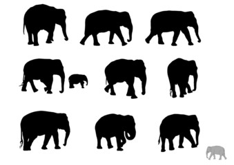 black and white silhouette of an elephant