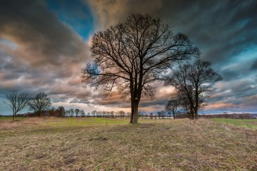 Stormy sky over field and trees