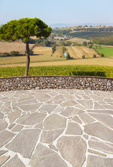 Fototapety na wymiar - Fototapeta24.pl