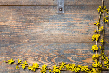 Yellow blossoms on a wooden chest