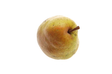 Gruszka