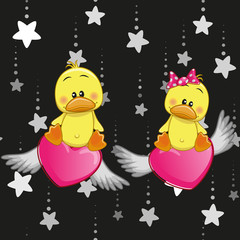 Lovers Ducks