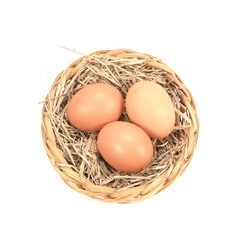 Nest with egg on a white background