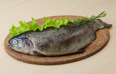 Raw fresh trout